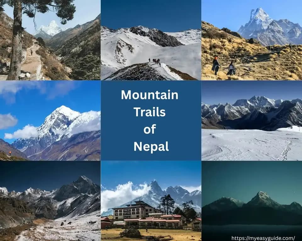 featured cover image