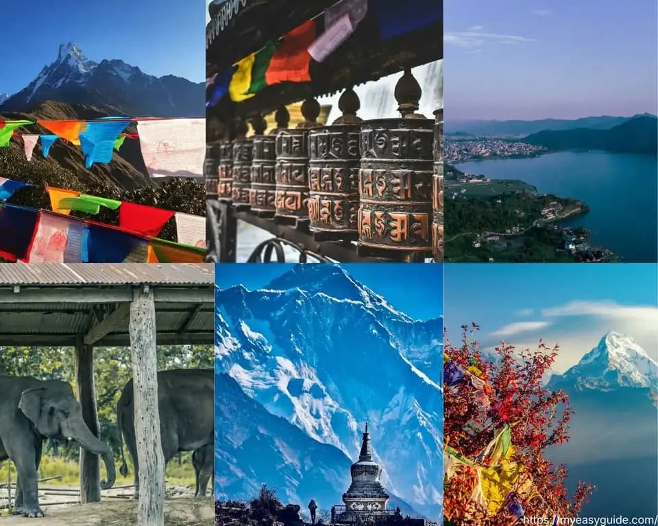 featured cover image