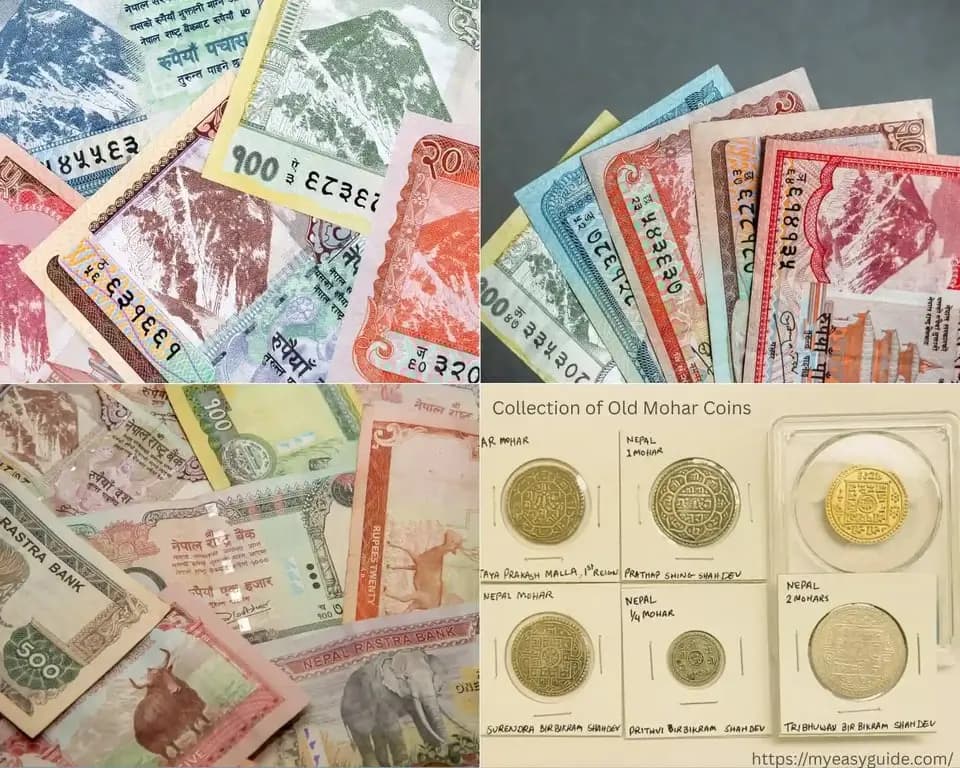 featured cover image