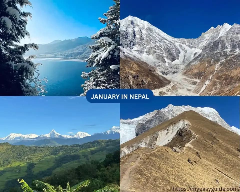 featured cover image