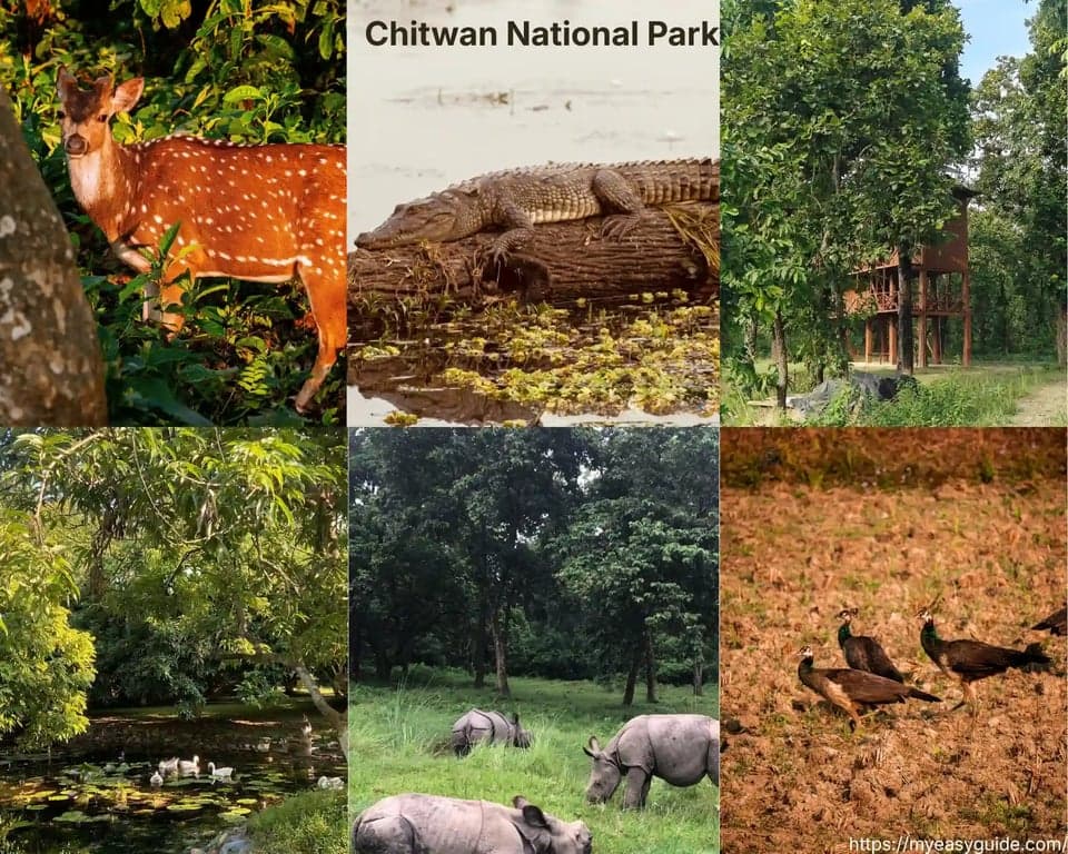 featured cover image