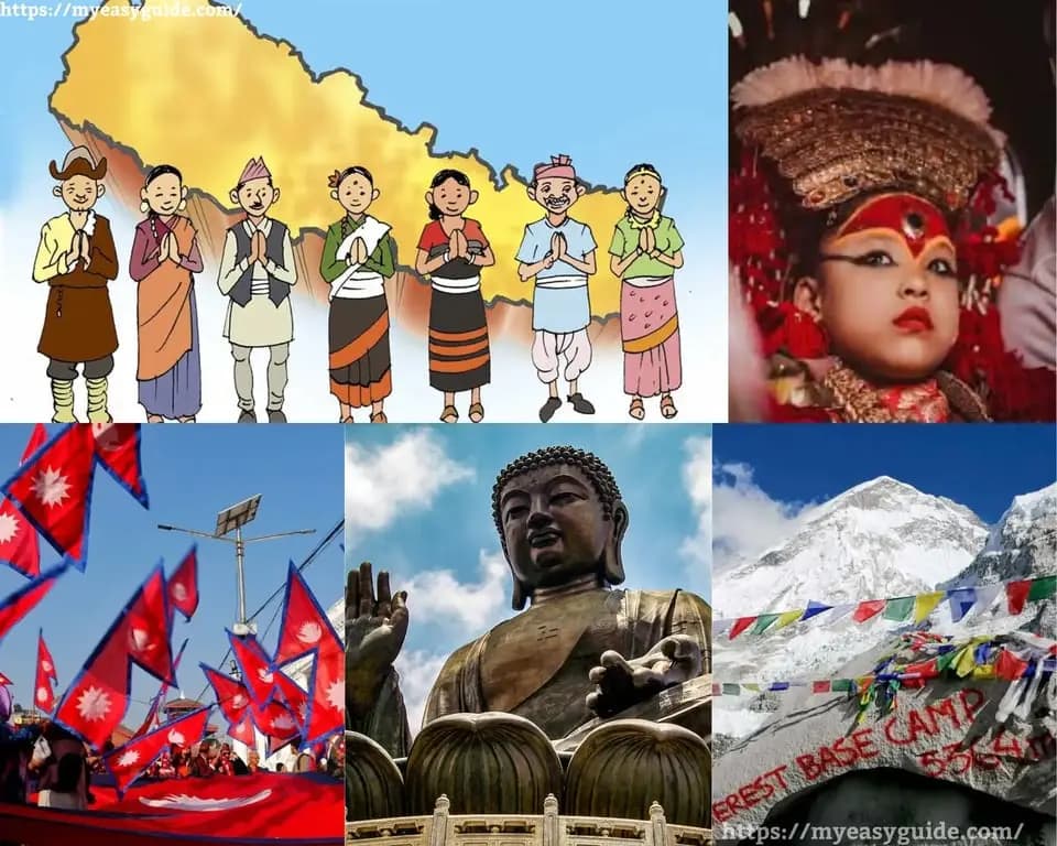 featured cover image