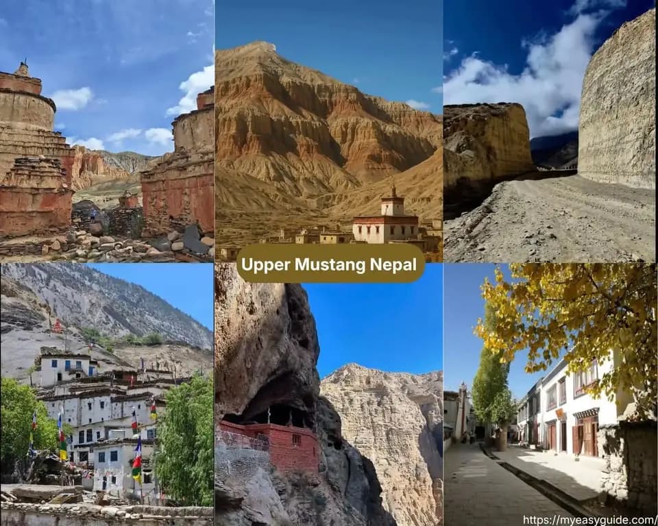 featured cover image